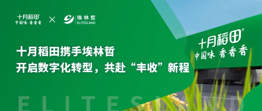 十月稻田攜手埃林哲，借助數(shù)字化利器駛向 “豐收” 彼岸